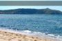 Pineta Villaggio Camping Club - Marina Di Camerota Campania
