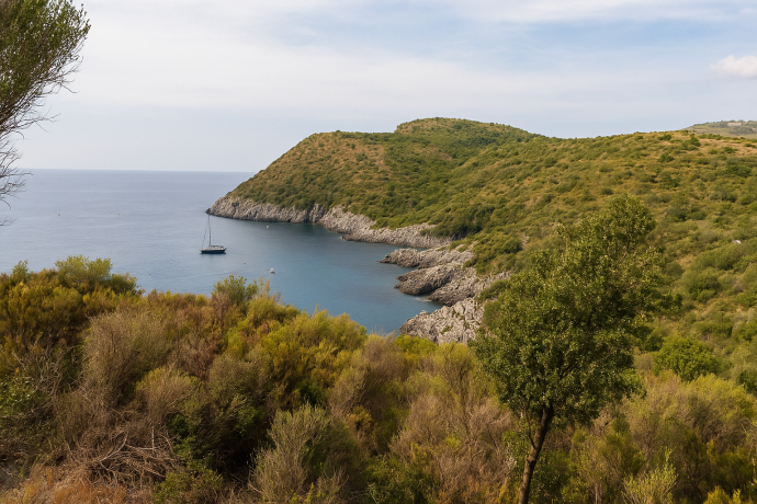 Baia nel Parco del Cilento con colline verdi e barca a vela sul mare azzurro
