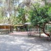 Tavoli da picnic all'ombra di alberi.