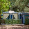 Villaggio Turistico Camping Dell'isola (SA) Campania