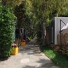 Sentiero tra bungalow con fiori colorati e vegetazione.